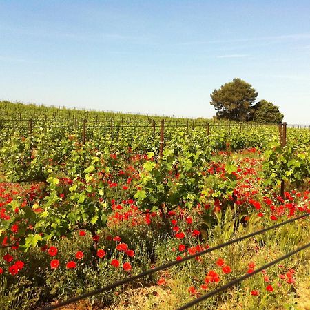 Maison De Margot Peyriac-Minervois 외부 사진