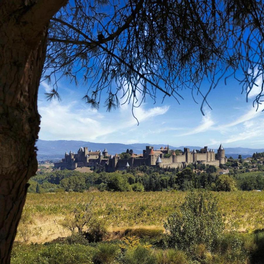Maison De Margot Peyriac-Minervois 외부 사진