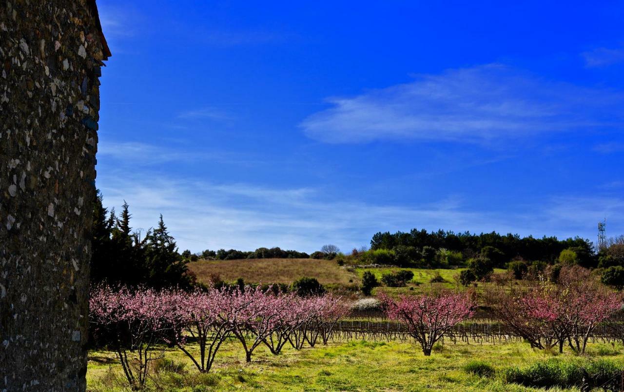 Maison De Margot Peyriac-Minervois 외부 사진